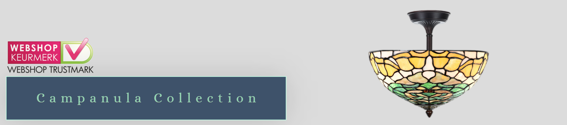 Campanula Collection Campanula Collection